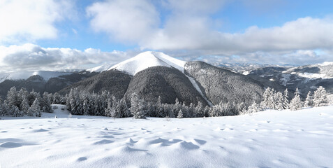 A panoramic view of high mountain with snow white peak. Landscape on winter day. Forest. Lawn covered with snow. Evergreen trees in the snowdrifts. Christmas wonderland. Snowy wallpaper background.