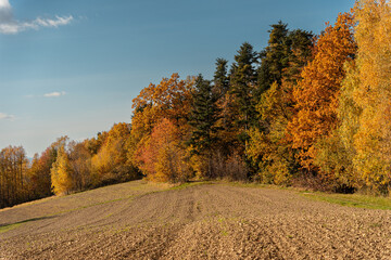 Jesienny klimat, polska złota jesień