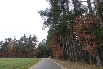 Obraz premium Landschaft in Donau-Ries/Bayern/Germany