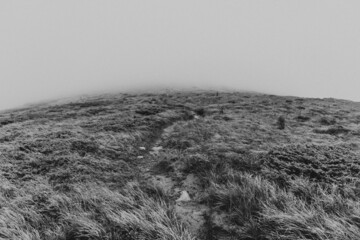 black and white fog grass road mountain