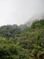 Fototapeta na wymiar 山と霧