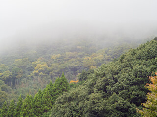 山と霧