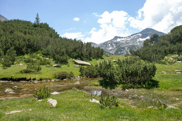 Landscape of Pirin Mountain near Banderitsa River, Bulgaria