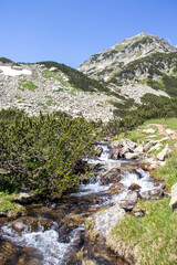 Fototapeta na wymiar Landscape of Pirin Mountain near Banderitsa River, Bulgaria