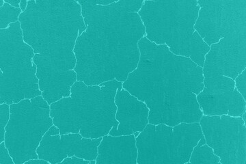 Cracked textured surface for backdrop. Light Sea Green color. White cracks.