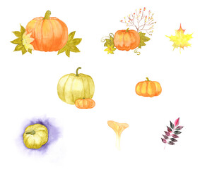 Autumn watercolor set. Hand drawn illustration.