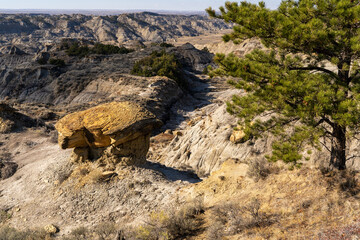 Beautiful landscape at a dinosaur state park in Montana