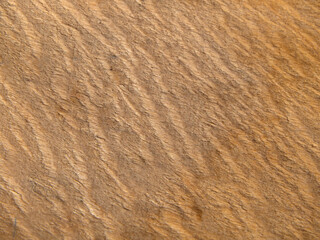 Wood plywood texture close-up for background. Light yellow natural wood background