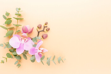 Pink spa orchid theme objects on pastel background.