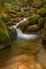 Fototapeta premium waterfall in the forest