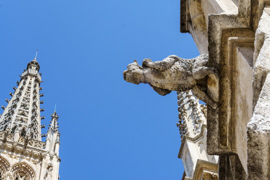 Gargoyle in the cathedral of Burgos, Spain