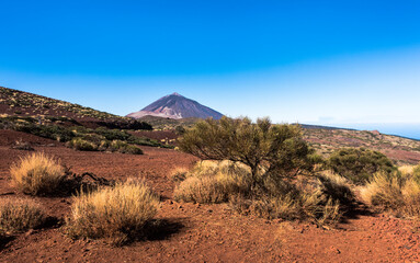 Teide Nationalpark, Tenerife, Spain