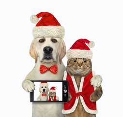 A dog labrador with a smartphone hugs a beige cat in Santa Claus clothing for Christmas. White background. Isolated.
