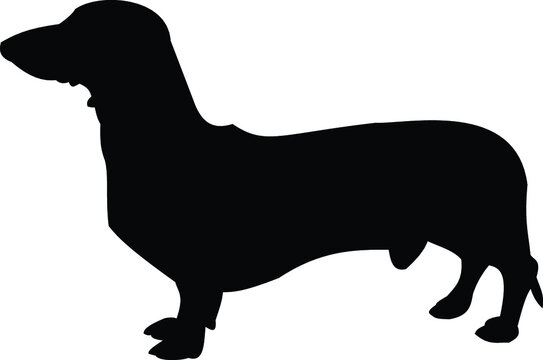 recommend clip art: Dachshund Dog Silhouette SVG Dachshund Dog Breed Clipart