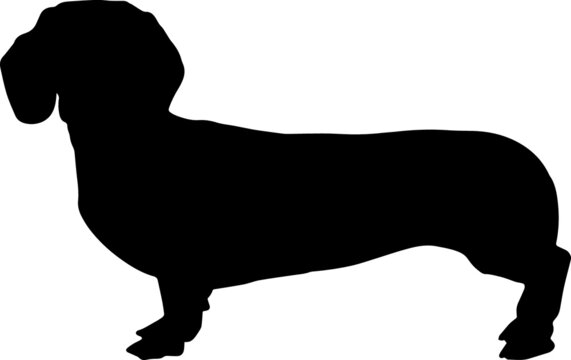 recommend clip art: Dachshund Silhouette SVG Dachshund Dog Silhouettes
