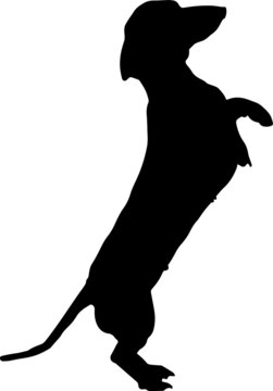recommend clip art: Dachshund Silhouette SVG Dachshund Dog Silhouettes