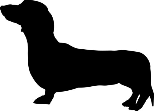 recommend clip art: Dachshund Silhouette SVG Dachshund Dog Silhouettes