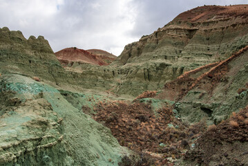 Blue mountain in John day fossil bed