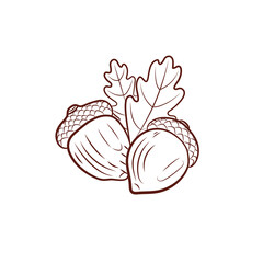 outline Acorn illustration, black lined icon isolated.