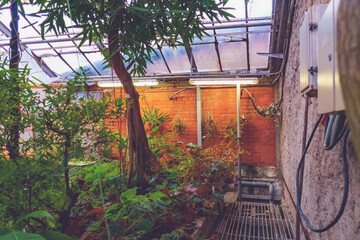 Wood in a botanical garden with red brick