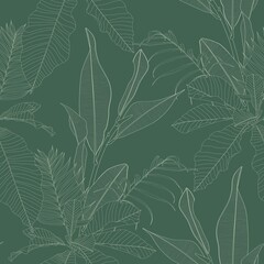 Tropical exotic floral line green palm leaves seamless pattern, line background. Exotic jungle wallpaper.	