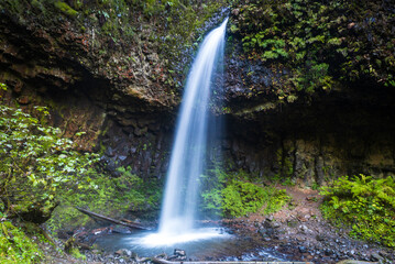Obraz premium Upper Latourell falls in Oregon state park
