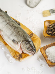 Macro photography. Large fresh fish on a wooden cutting board and ice cubes, salt, pepper, spices in wooden bowls on a white background. Fish dishes preparation, trade, advertising, fishing.