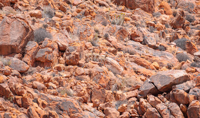 A herd of mountain goats in Namibia