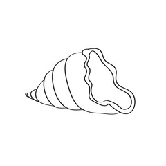 Simple coloring page. Line drawn round seashell on white isolated background. Summer ocean object. For coloring book pages.