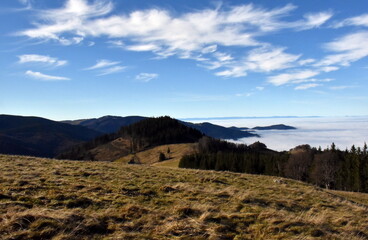 Inversionswetter im Schwarzwald im Herbst
