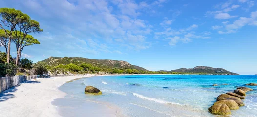 Foto op Plexiglas Palombaggia strand, Corsica Landschap met Palombaggia-strand in het eiland van Corsica, Frankrijk