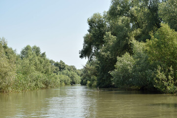 Landscape on a navigable canal surrounded by vegetation in the Danube Delta, Romania