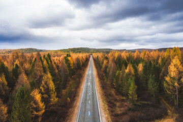 road in autumn