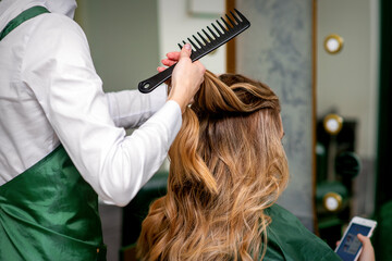 A female hairdresser is combing the long brown hair of a young woman at a parlor - obrazy, fototapety, plakaty