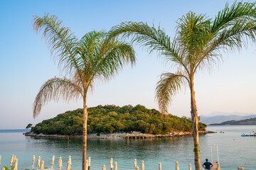 Two palm trees with an island in the background on the sea