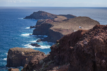 seagulls on a rock overlooking the coast of the island