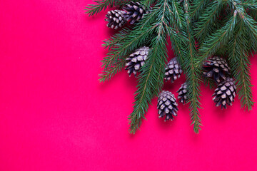 Christmas background with fir tree and decor. Top view with copy space