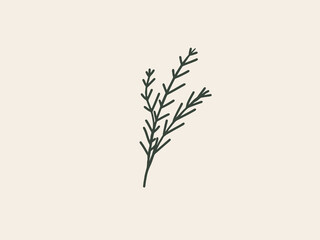 Vector illustration of a hand drawn branch isolated on pastel beige background