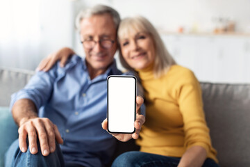 Elderly Couple Showing Phone Empty Screen Advertising Application At Home