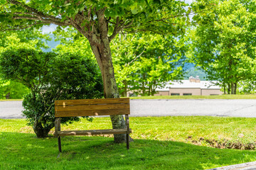 Sugar Mountain ski resort town park with idyllic bench under tree and view of beautiful green...
