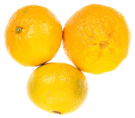 Fresh mandarins isolated on white background