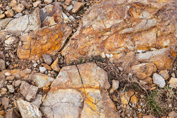 Mineral in the forest