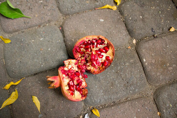 Pomegranate Tree and Fallen Pomegranates in Autumn