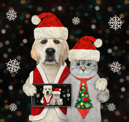 A dog labrador with a smartphone hugs an ashen cat in Santa Claus clothing at the party for...