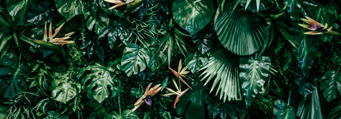 Tropical leaves as nature and environmental background, botanical garden and floral backdrop, plant...