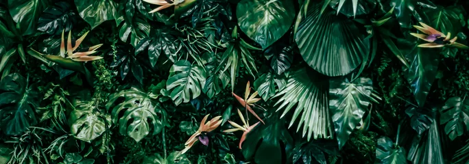 Deurstickers Tropische bladeren als natuur- en milieuachtergrond, botanische tuin en bloemenachtergrond, plantengroei en landschapsontwerp. © Anneleven