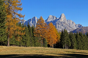 il Cimon de la Pala e la Vezzana dalle Carigole; Val di Fiemme, Trentino