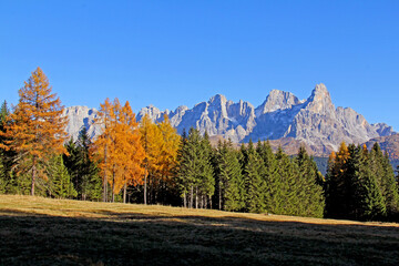 Fototapeta premium le Pale di San Martino con il Cimon dalle Carigole; Val di Fiemme, Trentino
