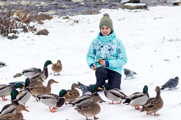 Fototapeta premium A positive girl spends time on a winter walk in the park among wild mallards. 