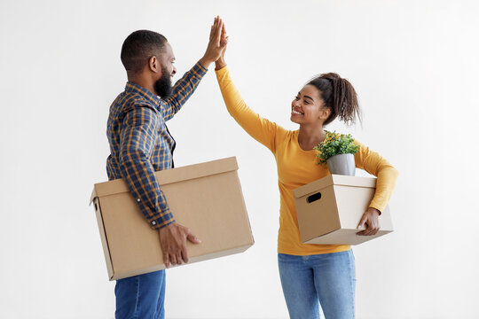 Happy millennial black couple carry cardboard boxes with potted plant, give high five on white wall background